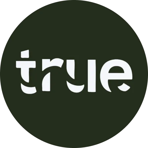True Future Real Estate Development