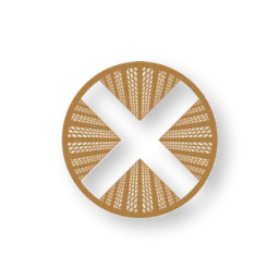 TownX Development